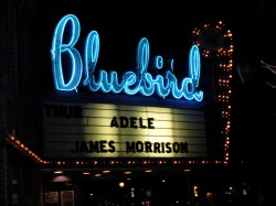 Adele Marquee