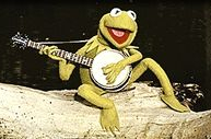 Kermit Banjo